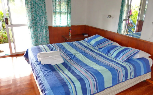 The Friendly Islander (Papiloa's)