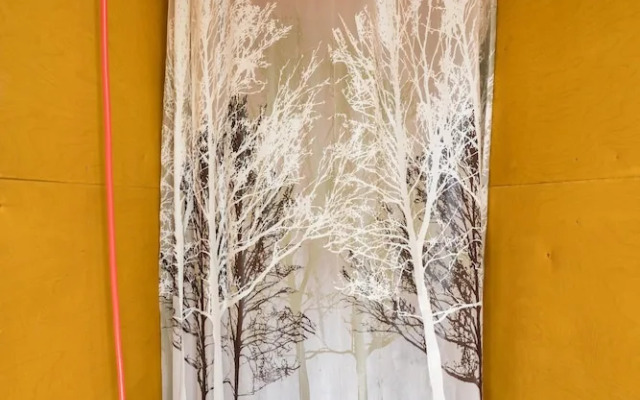 Stay Wilder - Adults Only