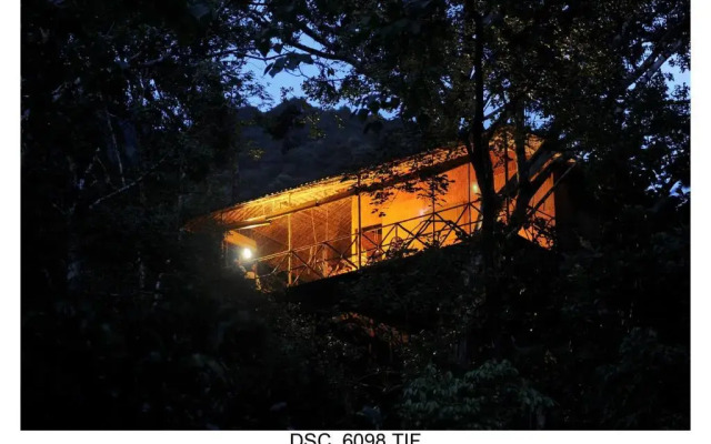 Vythiri Resort
