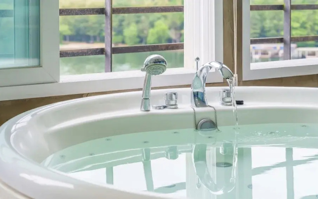 Gapyeong Nami Island Pet-friendly Spa Pe