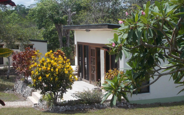 Gumbo Limbo Jungle Resort