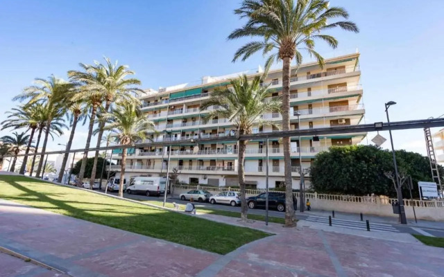 Apartamento Gallo Rojo