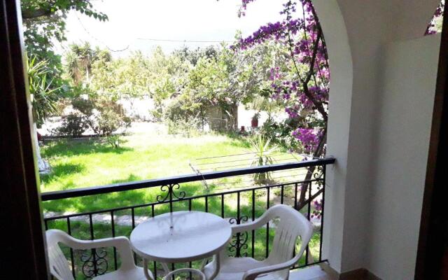 Studios Dimitris