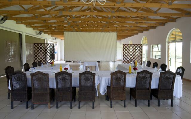 Bushman Rock Safaris