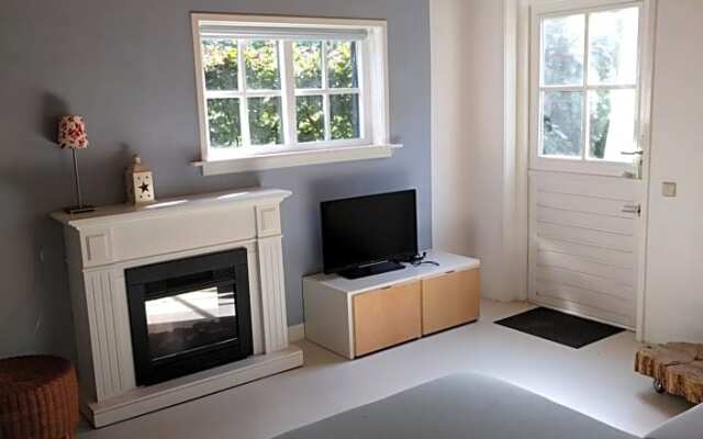 Studio Blue Beech