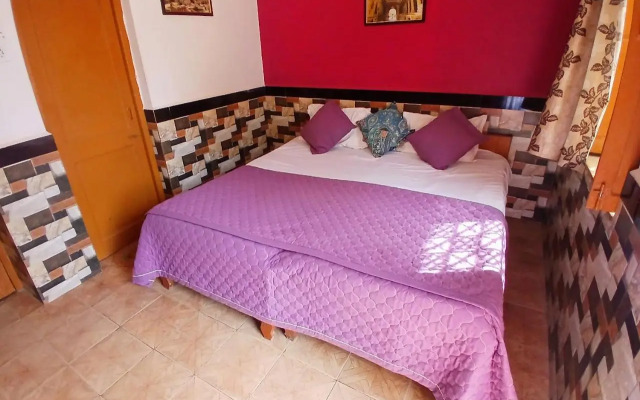 Crazy Camel Guest House