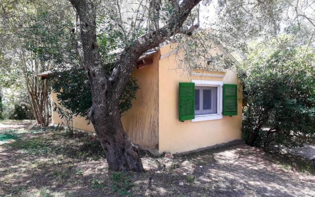 House in the Olive Garden