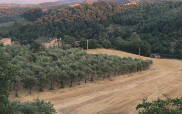 La terrazza sul vulcano