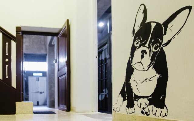 Paper Plane Hostel
