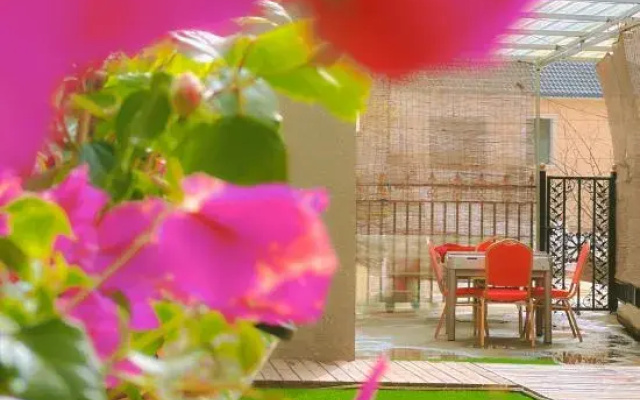 Chinese Courtyard