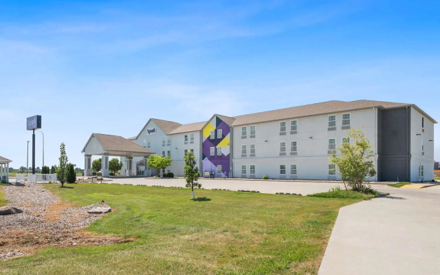 Spark by Hilton Minot