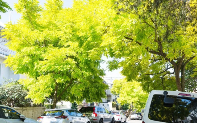 Stylish 3 Bedroom Townhouse in Darlinghurst