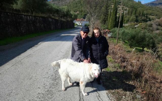 Evinos Village Resort