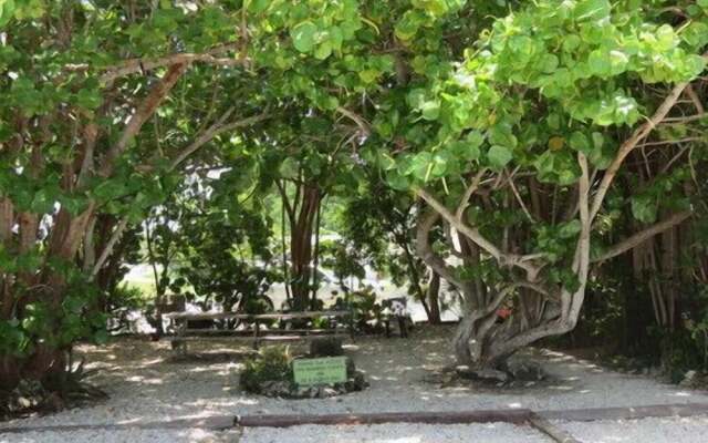 Ed & Ellens Lodging Key largo