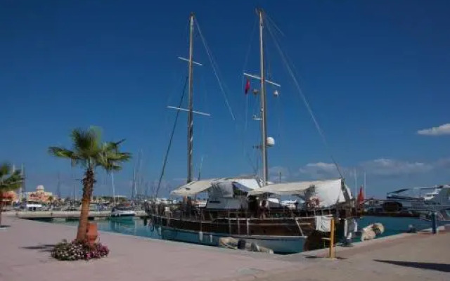 Avrio Red Sea