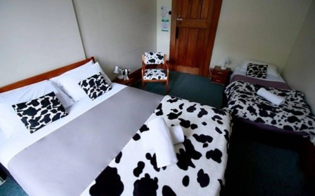 Noah's Ark Backpackers