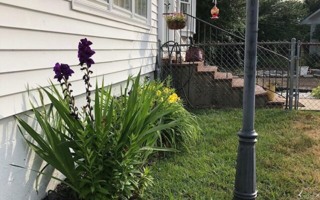 The Gibson House Inn