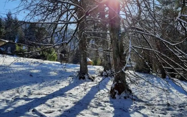House in Vosges Near Forest and Hiking Trails