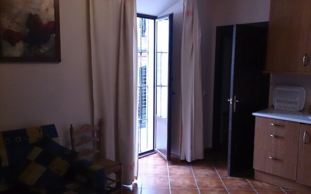 Apartment R Ideal to Visit Úbeda in Couple