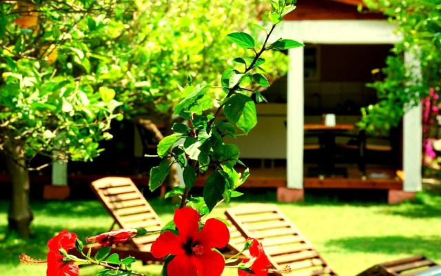 Baraka House