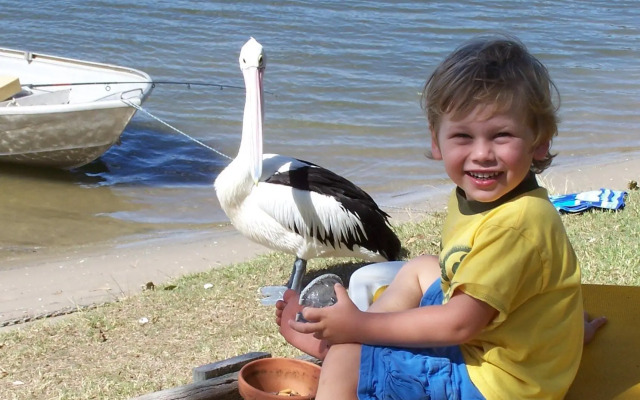 Maroochy River Bungalows