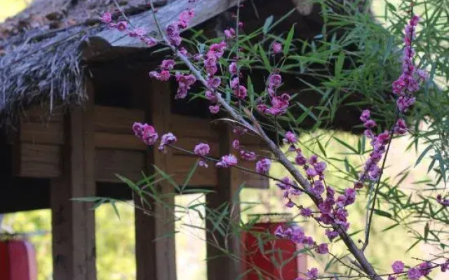 Nuodeng Yuanse Homestay