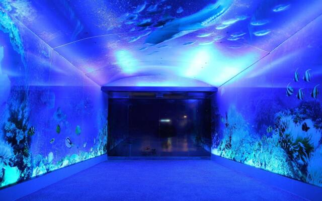 Clownfish Resort
