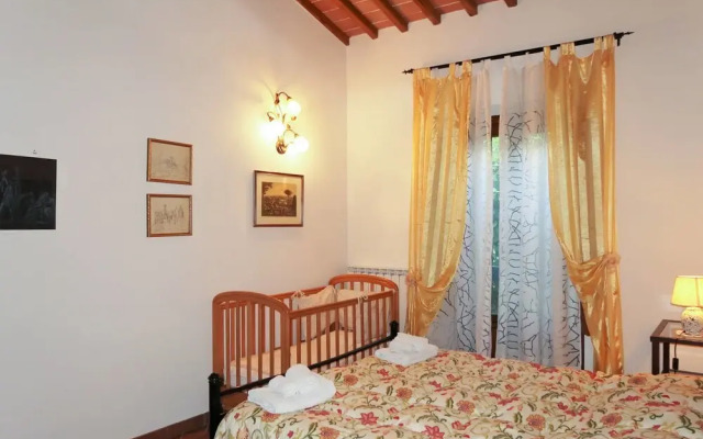 Cedri Alti Gavignano