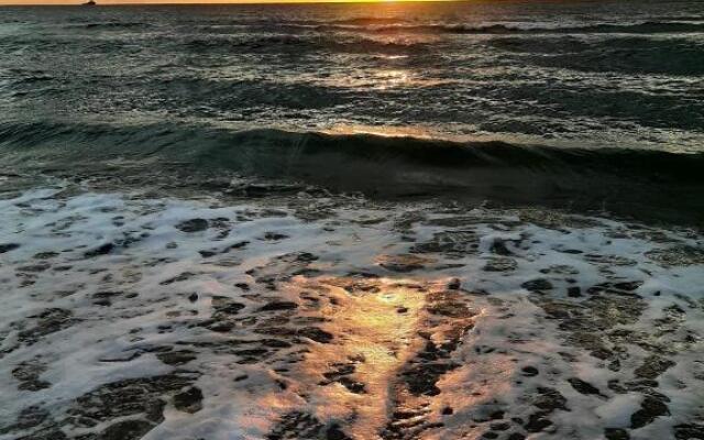 Dragonfly chalet Burghorn