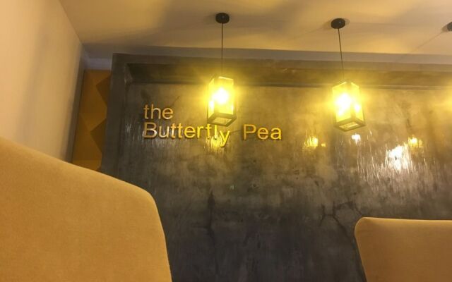 The Butterfly Pea