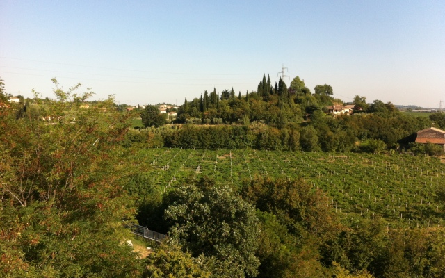 Отель La Rondinaia in Eurocongressi