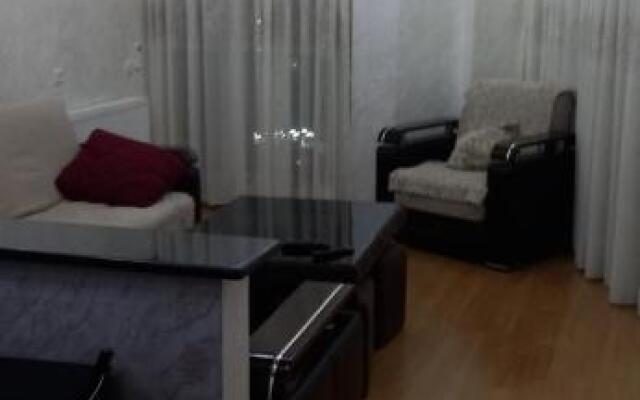 Apartament Pushkin Street 13