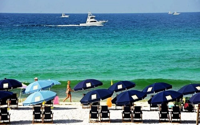 Elation 5513 by RedAwning