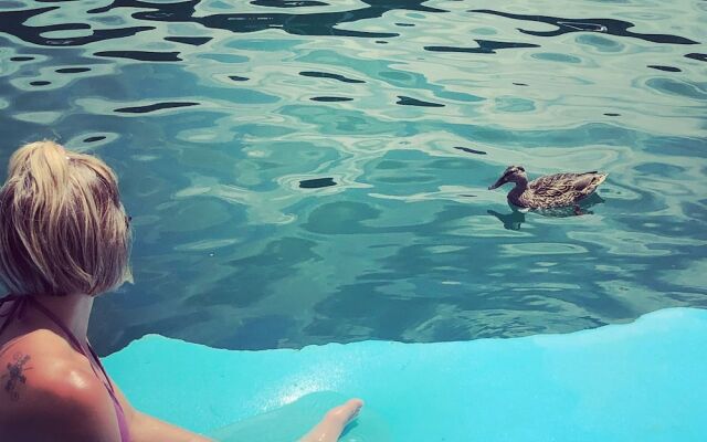 Airstream Houseboat Amazing Lake Travis View