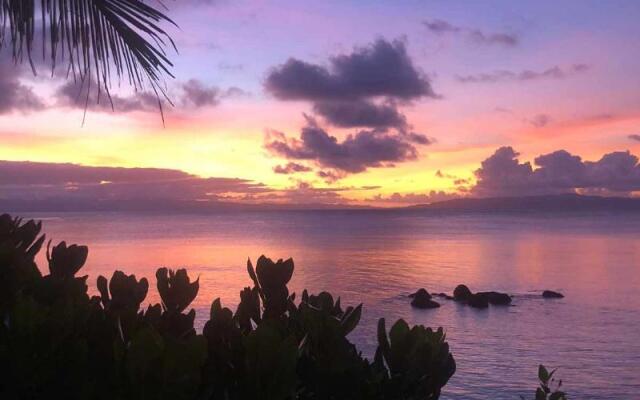 Taveuni Palms