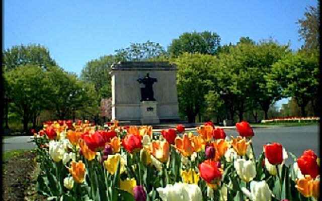 The Morgan State House