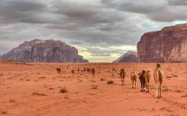 Wadi Rum Bedouin Tour with a Camp