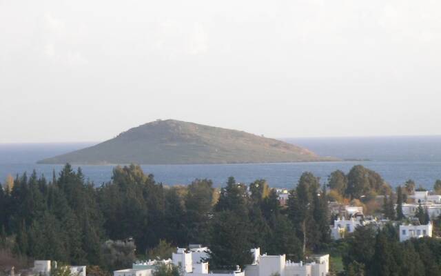 Villa Ortakent