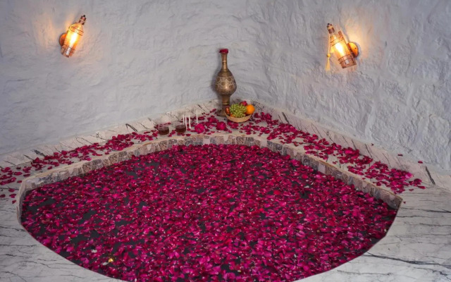 Jawai Wildlife Safari Camp