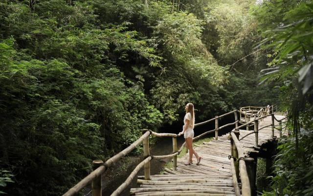 Padma Resort Ubud