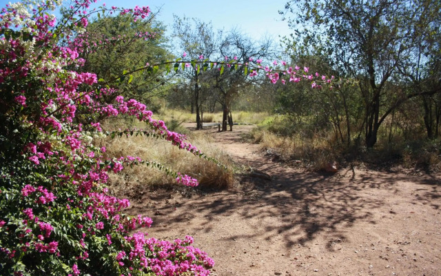 Normann Safari Bush Lodge