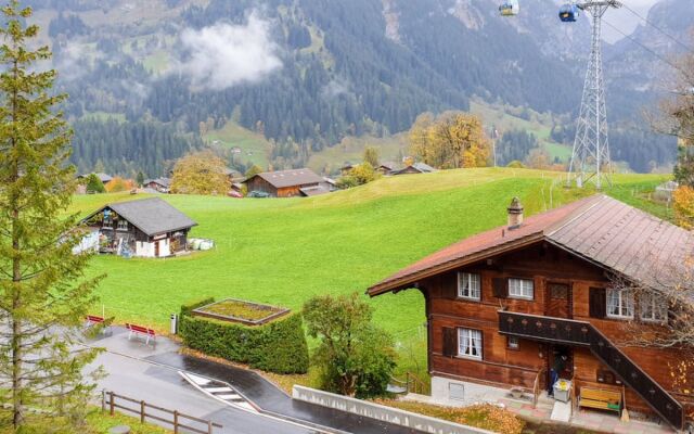Chalet Bodmisunne 24924