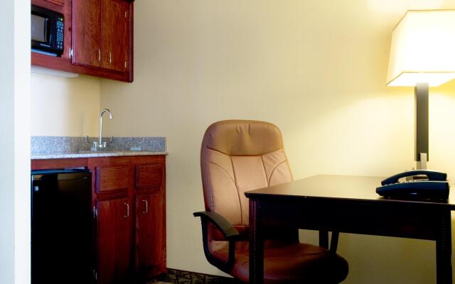 Holiday Inn Express Hotel & Suites DFW Airport South by IHG