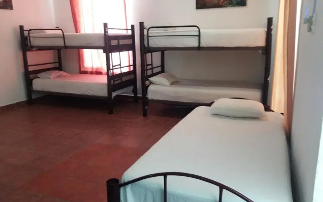 Loft 10 Hostel