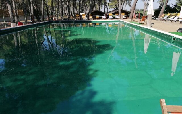 Camping Green Village Pin Tourist