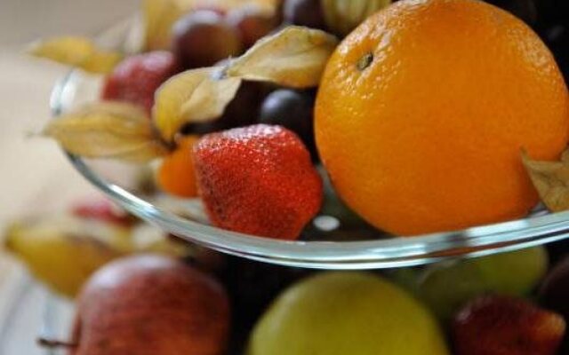 Conrad's Mountain Lodge