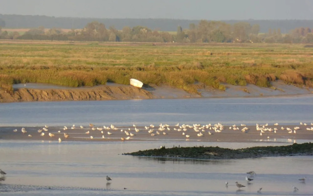 Beautiful Apartment, 2 Terraces, Near Beach
