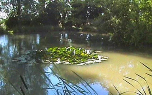 Blatches Farm