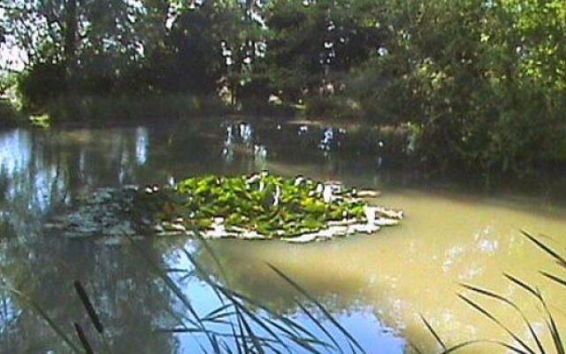 Blatches Farm