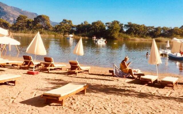Green Pine Beach & Bungalows Luxury Concept